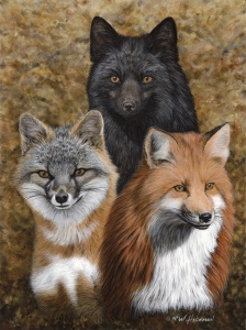 Three Of A Kind - Foxes